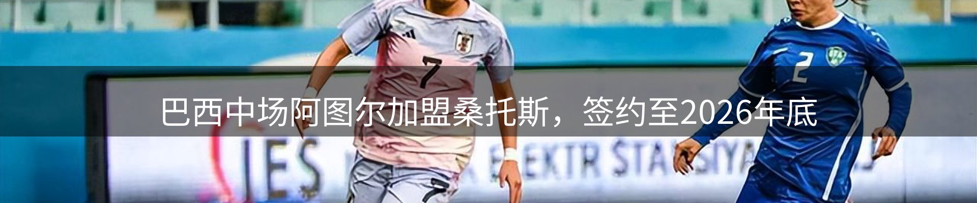行业消息